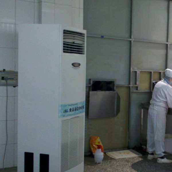 营口食品正负离子空气杀菌器